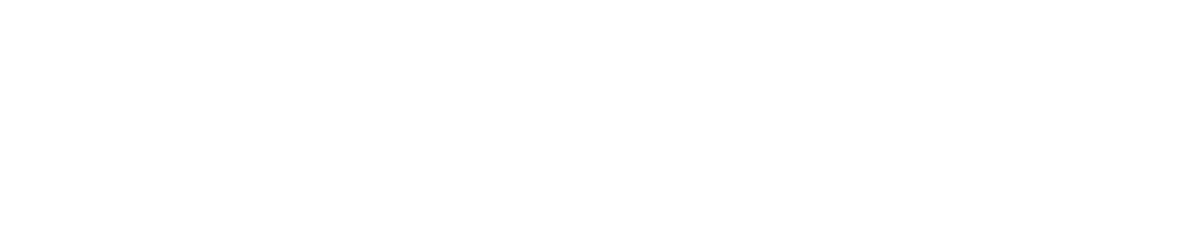 tiktokdl Logotip spletnega mesta