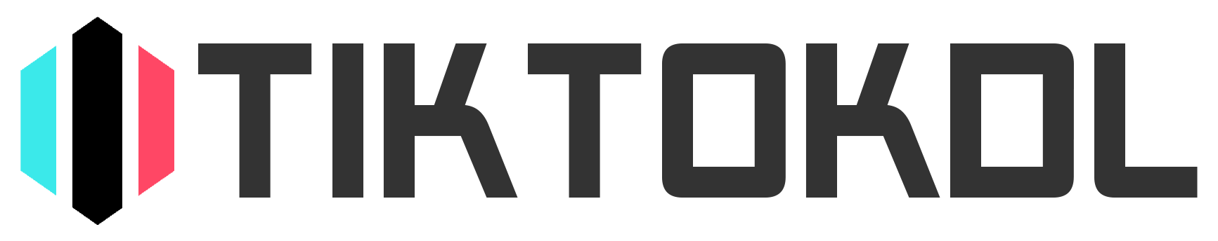 tiktokdl Logotip spletnega mesta